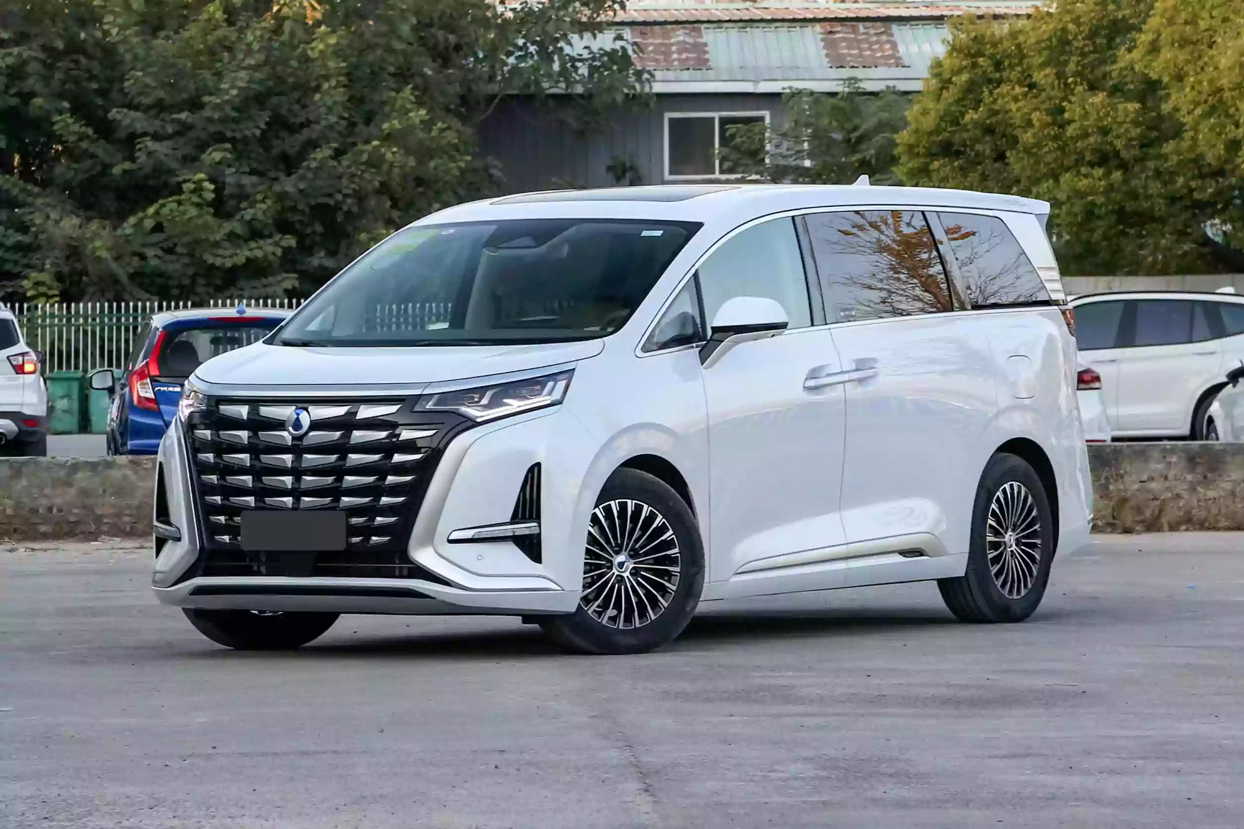 Денза D9 DM -I 2023 Внешний вид -1
