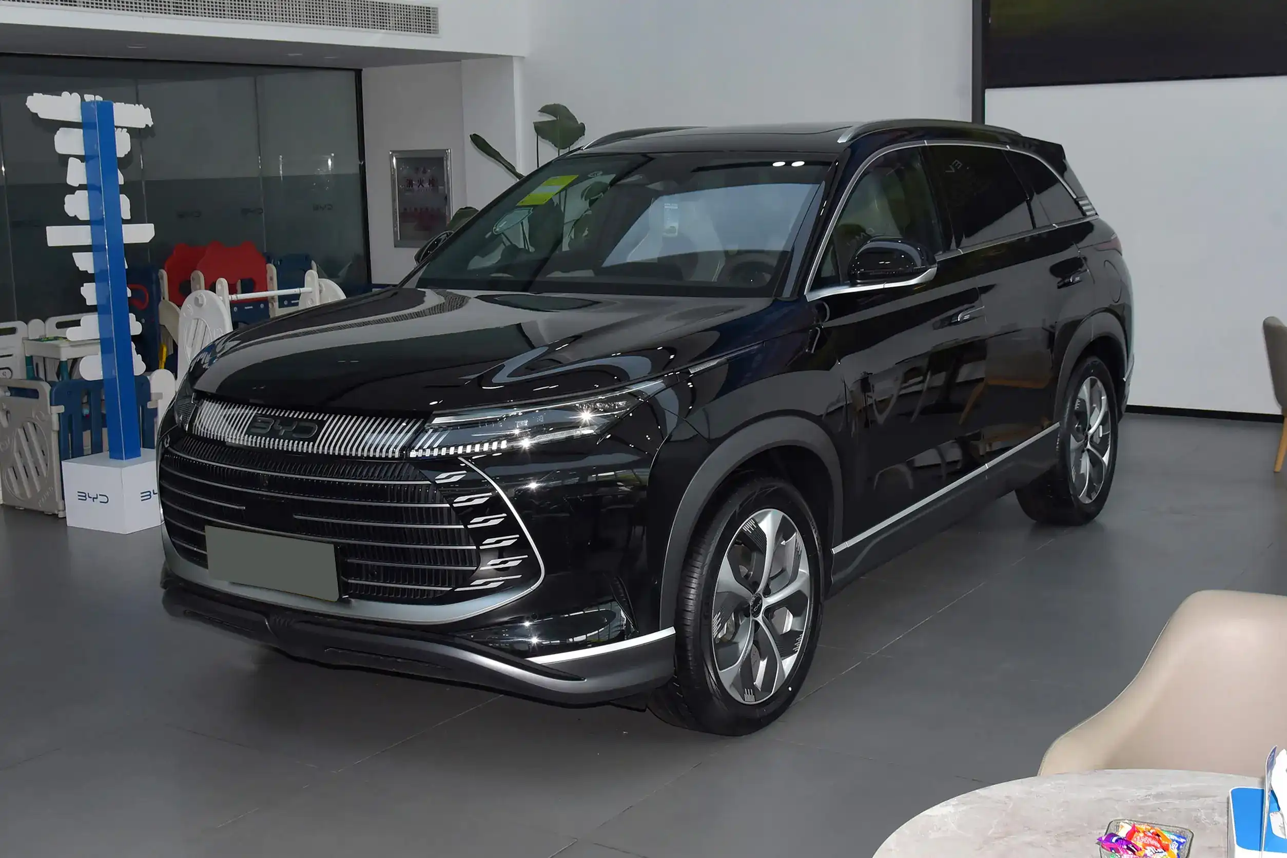 byd fregtic 07 picture (13)