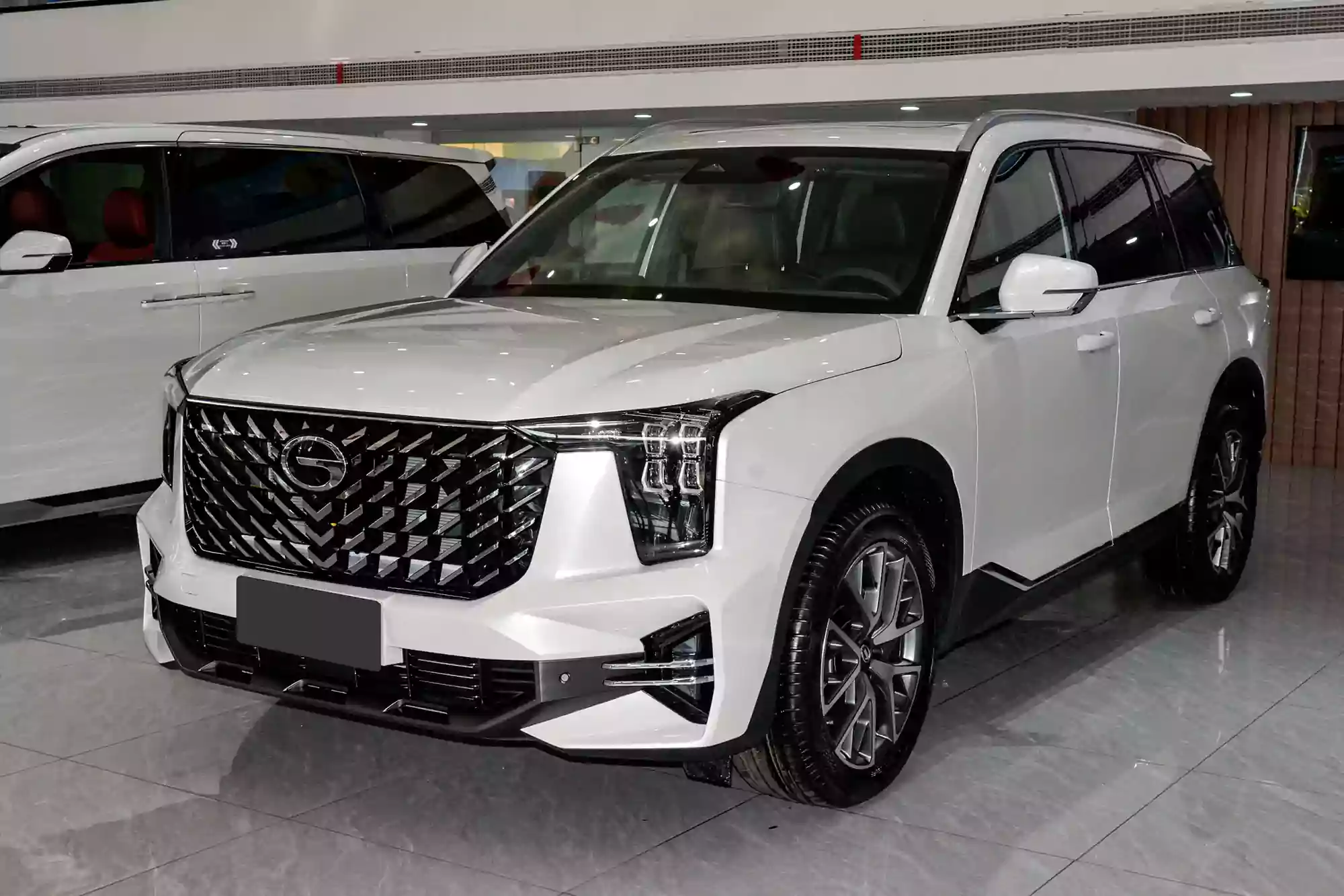 gac trumpchi gs8 picture (9)