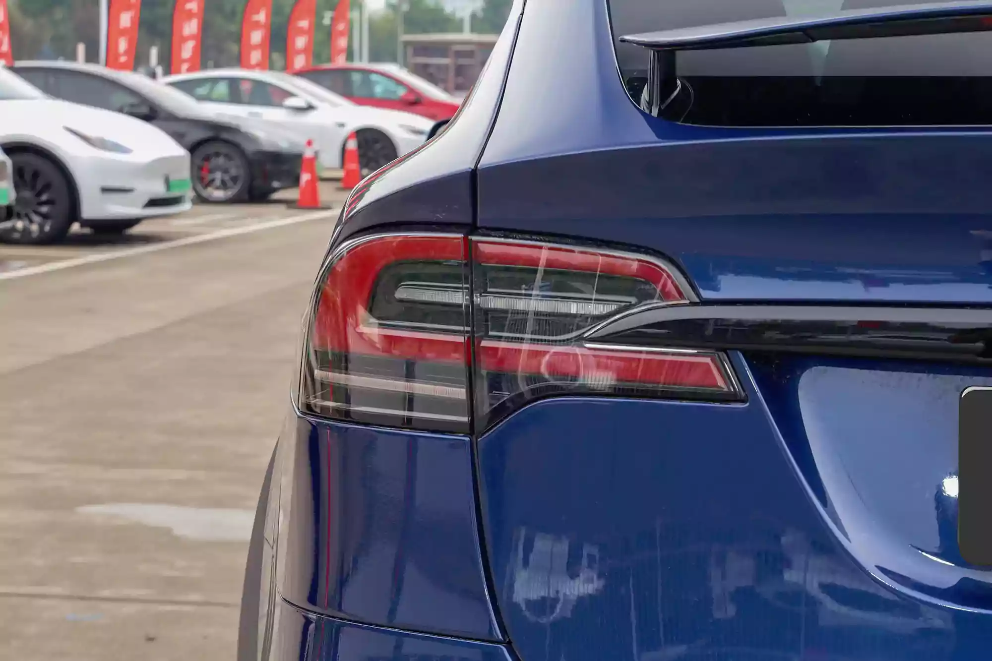 tesla model x изображение (5)